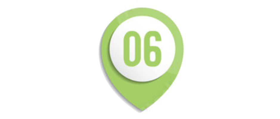 06